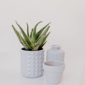 Aloe vera plant in a geometric white pot with minimalist decor, perfect for home or office still life photography.
